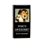 Жвачка Blue Q Gum Who’s Awesome 1